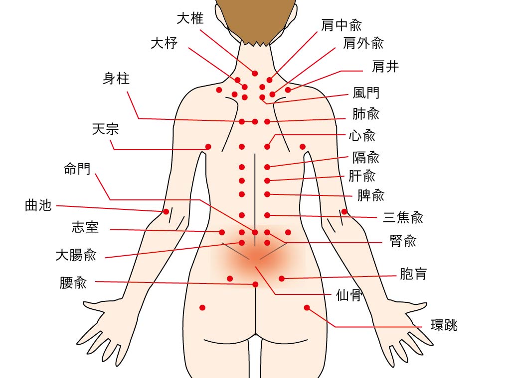 背面のツボ 背部兪穴 ことりの森整体院